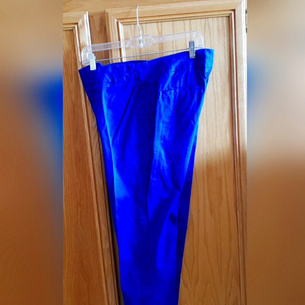 Anne Klein pants/ jeans 10